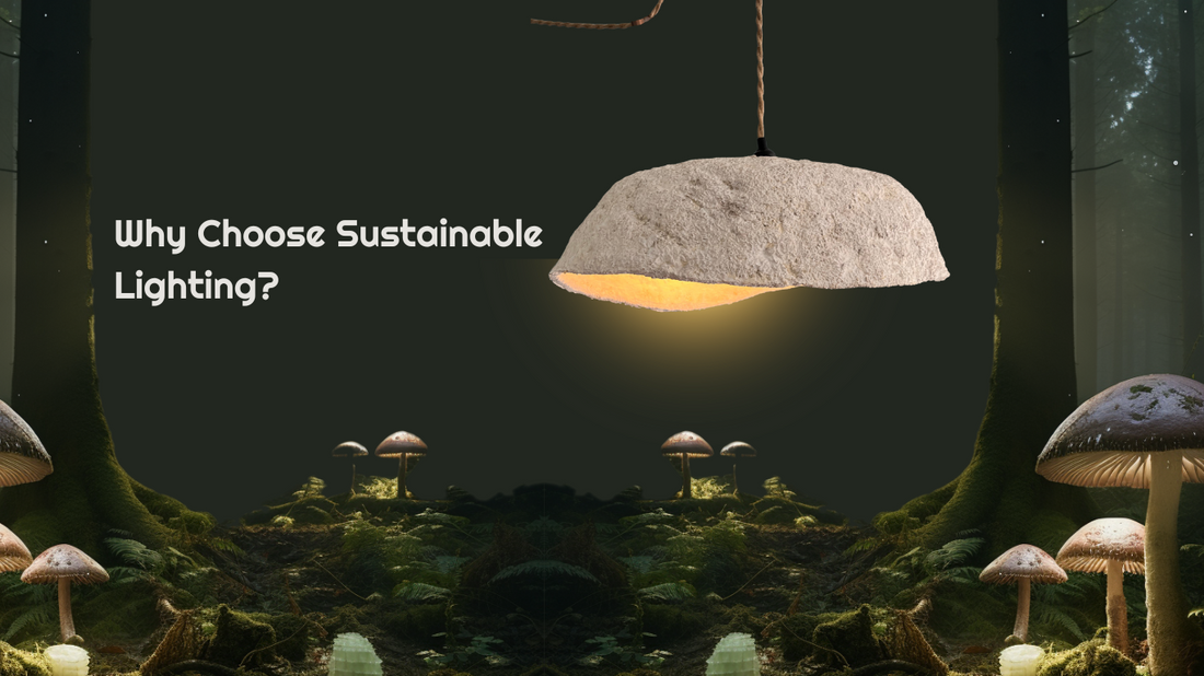 Why Choose Sustainable Lighting? Spotlight on My.Glo