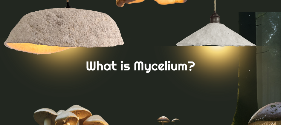 What is Mycelium?