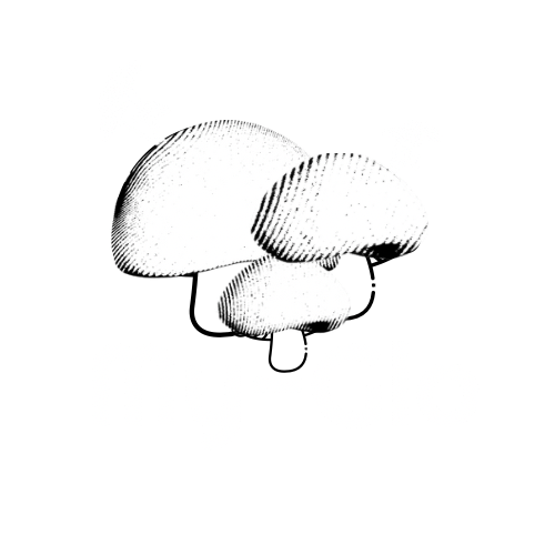My-Glo Lamps